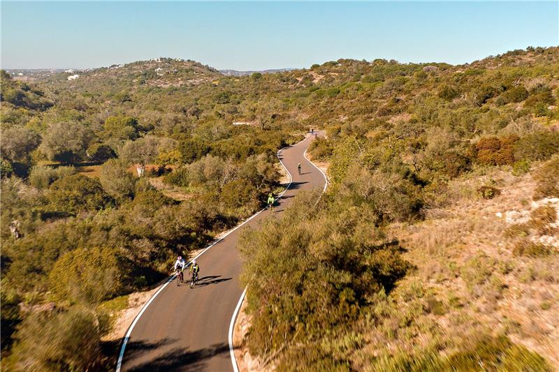 The Bike Shed Sunday Series